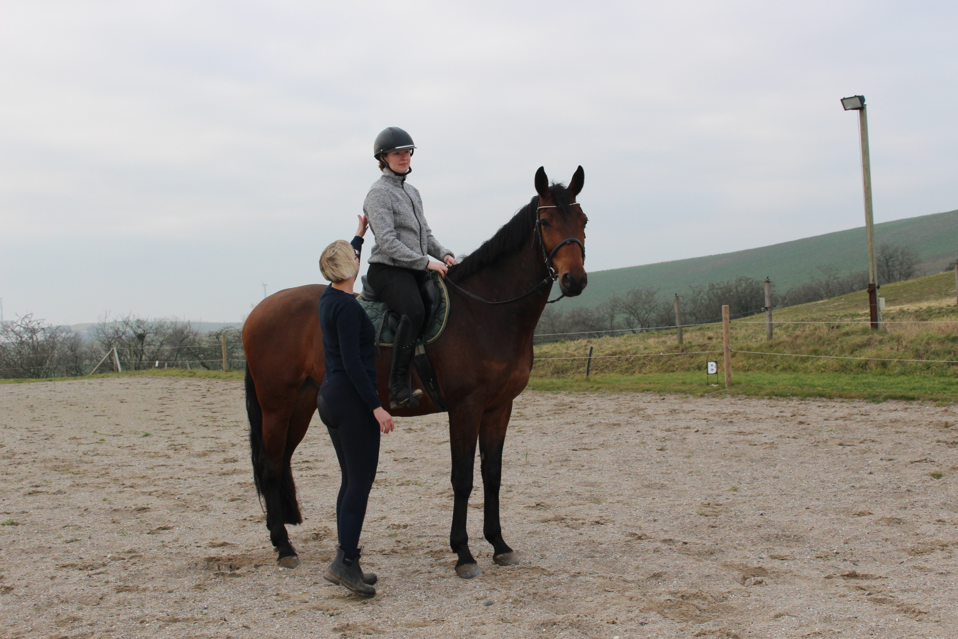 Hest med rytter - terapi